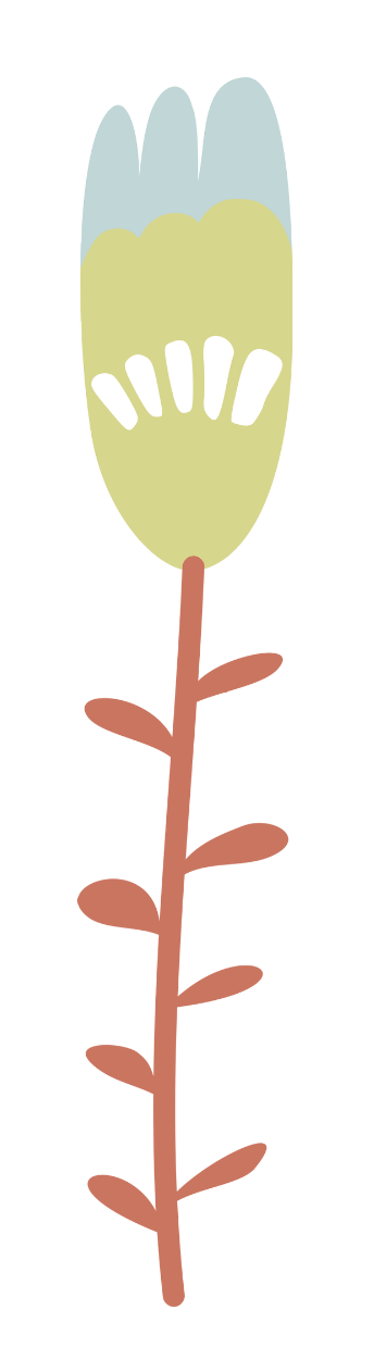 Illustration of a pale flower on a vine