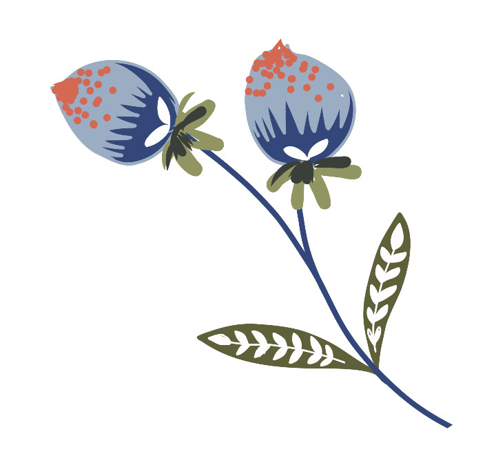 Illustration of blue thistle flowers